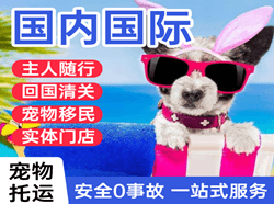 威海航空快运国际宠物托运 【国